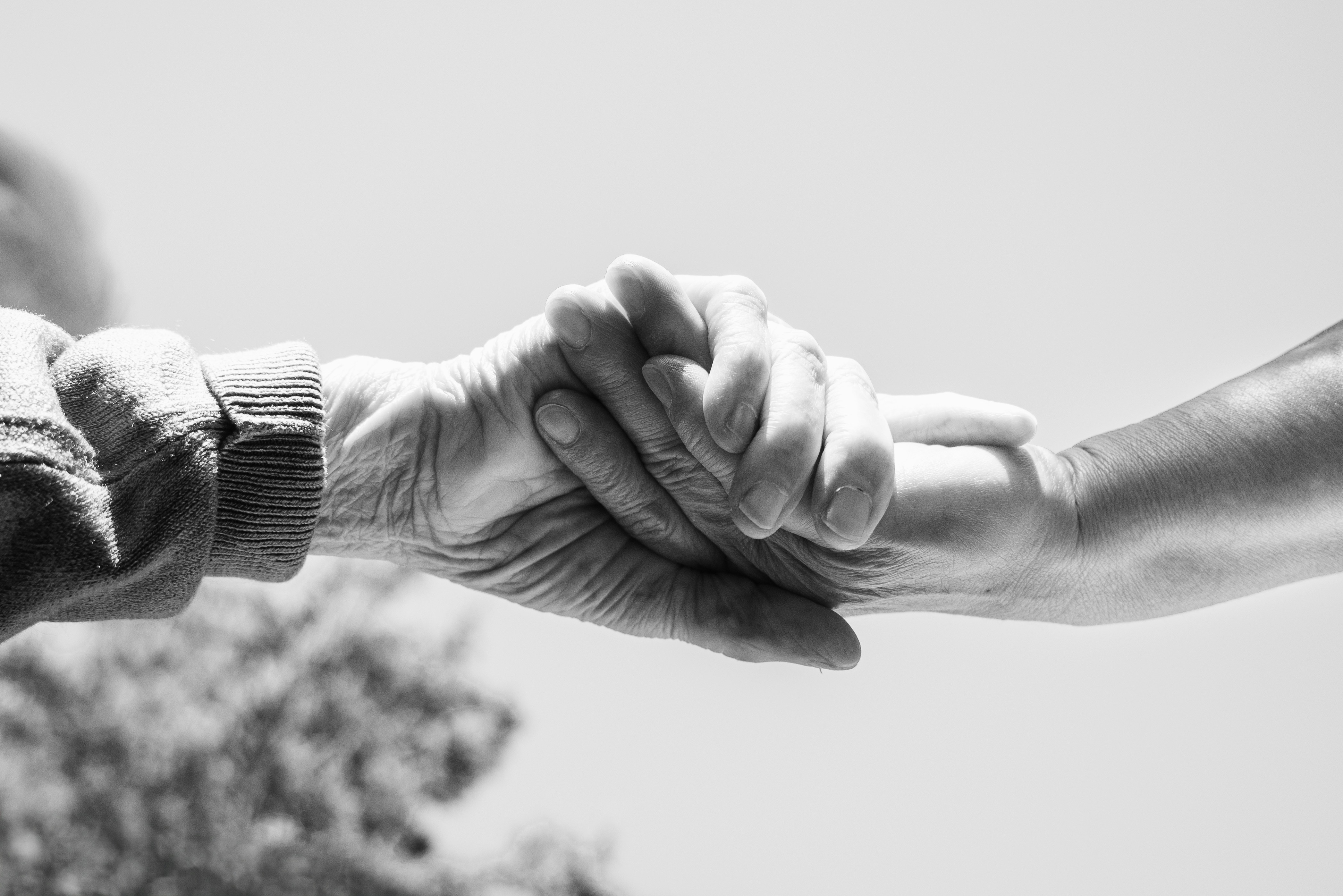 Finding Quality Nonprofit Disability Services in Southeast Idaho: A Community Guide