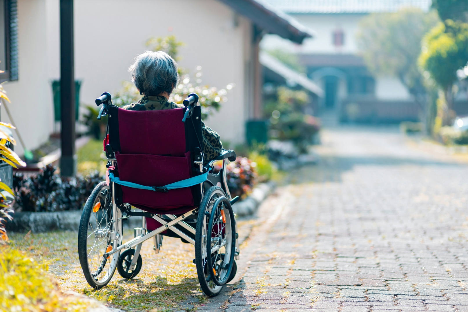 Understanding Disability Support Services: What They Are and How to Find Them Near You